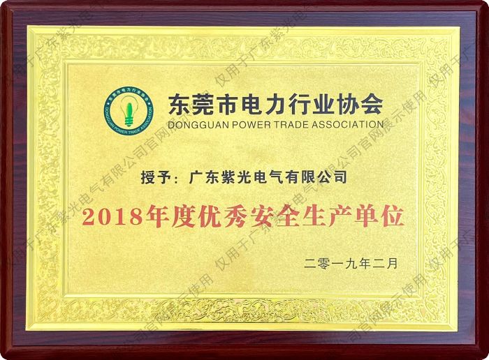 東莞市電力行業(yè)協(xié)會優(yōu)秀安全生產單位